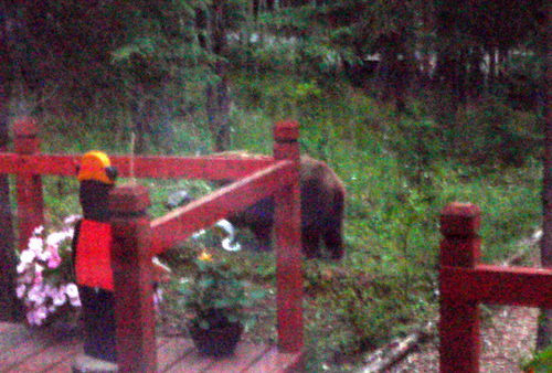 cabin_069.jpg