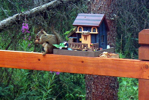 cabin_048.jpg