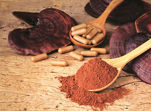 Coverbild_Pilz_und_Kapsel_QUER_edited.jp
