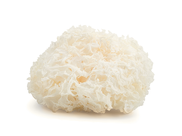 Kein Titel (Website).png