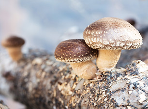 AdobeStock_61563581.jpeg