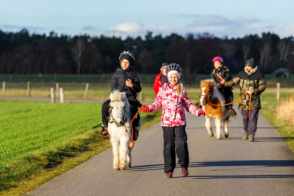 parents-with-children-having-fun-enjoy-walk-riding-2025-01-10-12-50-58-utc.jpg