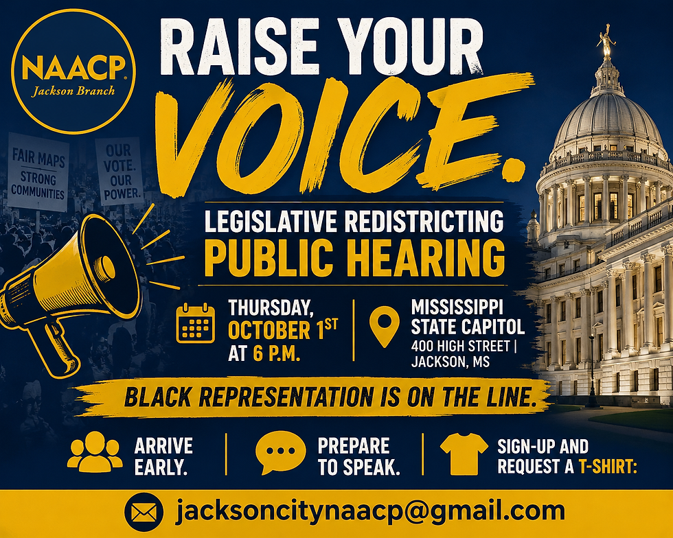 Jackson Redistricting Hearing