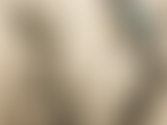 Zhuangzi-Kingfisher dialogue on value exchange