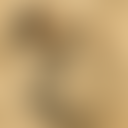 Nhờ Trang Tử đòi lại công lý