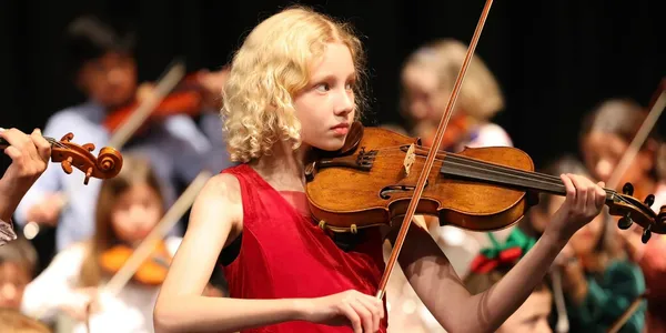 Violin Karate.webp