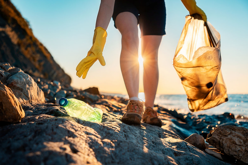 Beach Cleanup.png