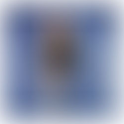 Rita Ora anuncia nuevo álbum