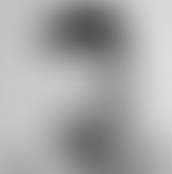 Zayn Malik estrenará nueva canción