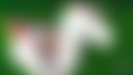 "Make Love", lo nuevo de Nicki Minaj