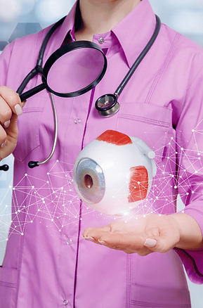 Eine Augenärztin studiert am digitalen Augenmodell.