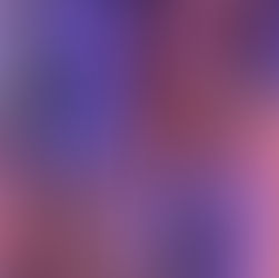 April - March Update Vlog