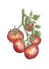 Untitled-Artwork 3 (5).png