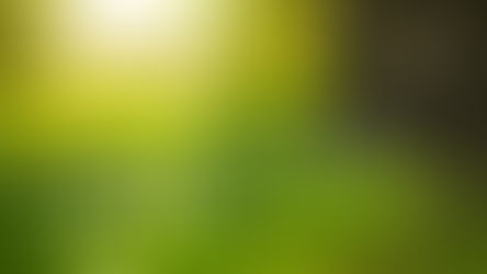 ホームページリニューアル