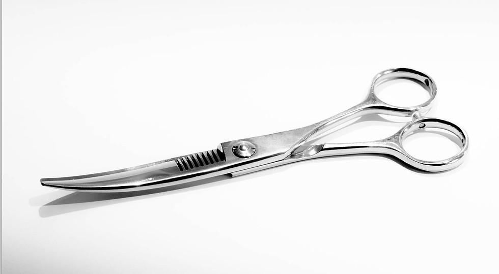Thumbnail: Ashear Patented Scissors