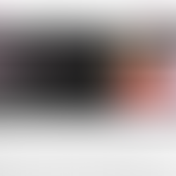 Influential Women: Lauri Fleischmann Stern