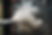 AdobeStock_289105608.jpeg