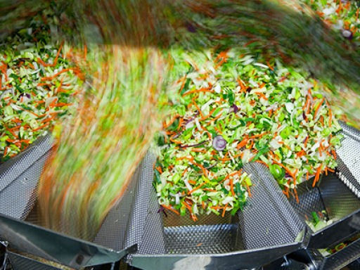Vegetable Water Flume and Wash Disinfection