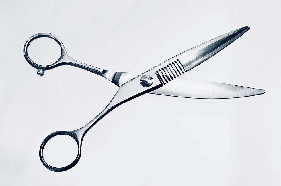 Thumbnail: Ashear Patented Scissors