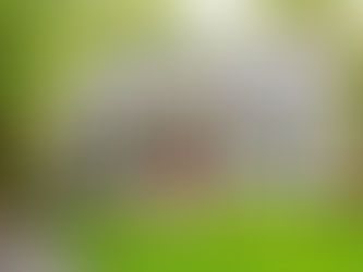 Spring Curb Appeal Starts with the Biggest Surfaces, Garage Door, Front Door, Windows