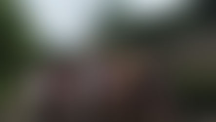 2014 Empowerment Program in Japan