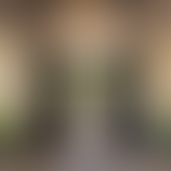 Redefining Luxury Travel: The Rise of the Midterm Stay