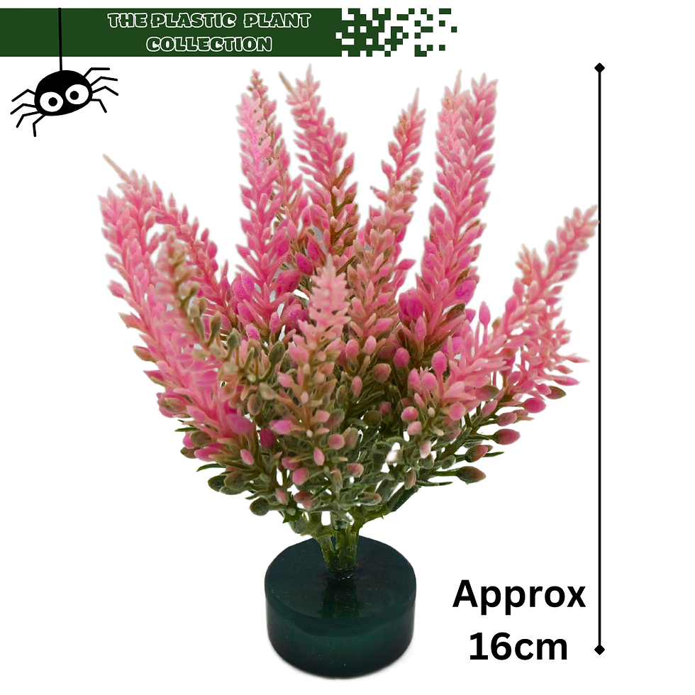 lavender plastic plant pink spider