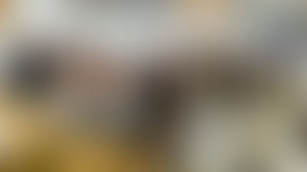 Growing Together: How Terrarium Workshops Nurture Well-being and Innovation at Meticuly