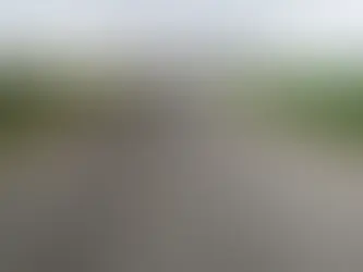 Closer look at ANT technology