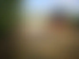 Kapitalinis kelio į apžvalgos bokštą remontas