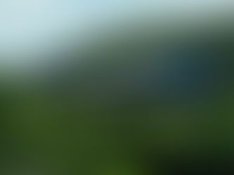 Columnas políticas hoy 12 de marzo de 2025