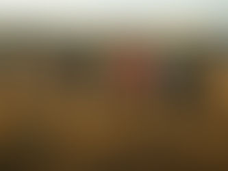 Columnas políticas hoy 18 de marzo de 2025