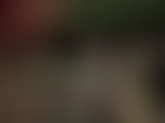 Columnas políticas hoy 03 de marzo de 2025