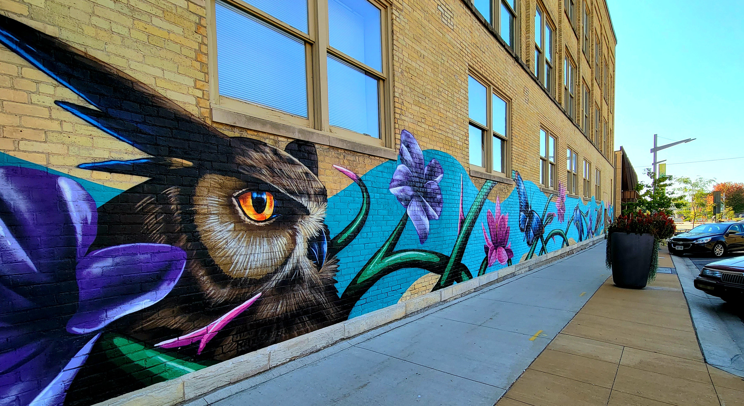 Janesville's Art Infusion 2021 Janesville Stories