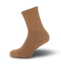 Kamelsocken.png
