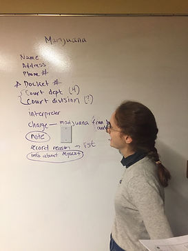 Marijuana Expunement App Flow