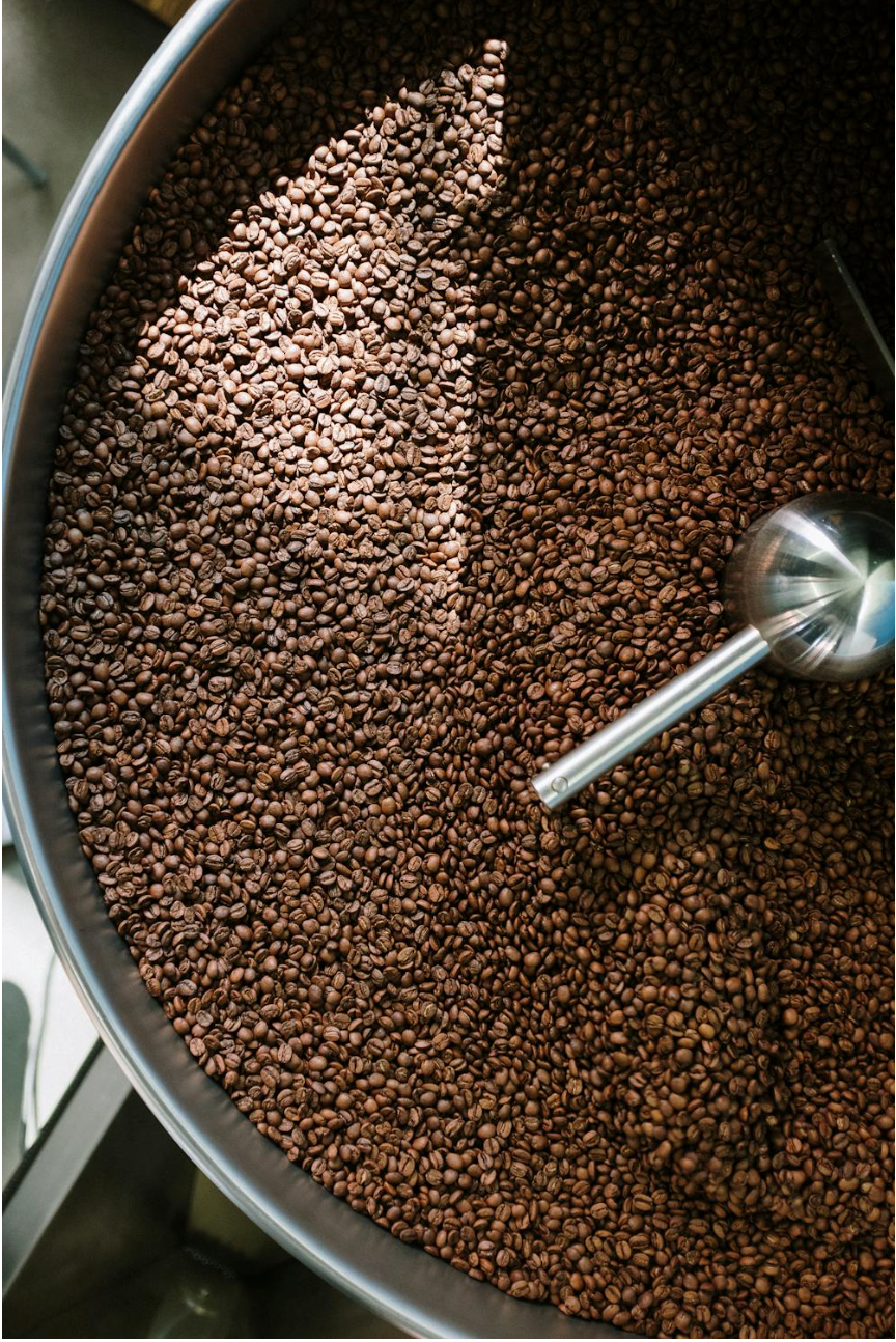 Roasted coffee beans sitting inside of a coffee roaster