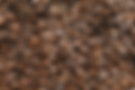 Screenshot 2025-09-29 at 12.51.54 PM.png