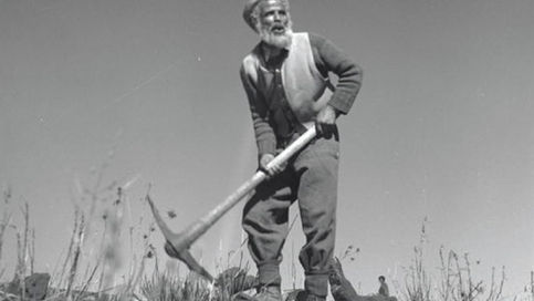 מקומם של יהודי תימן בבניין הארץ