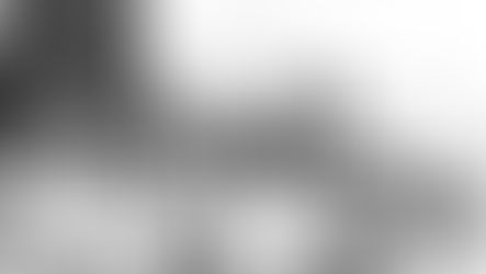 מבט אל העבר: נחפשה דרכינו – התארגנות עצמאית כשלב לאחדות לאומית