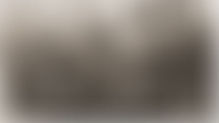 קבל האמת ממי שאמרו!