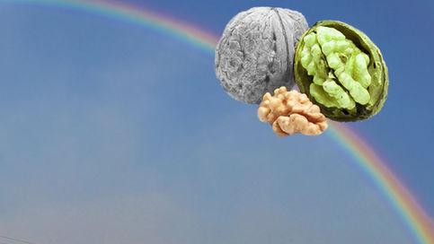 מי הוא ה' יתעלה לפי ספר הזוהר?