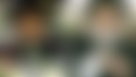 עת לעשות לה' הפרו תורתיך