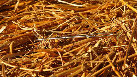 מחט בערמה של שחיתות