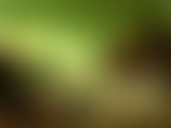 ברכת הלבנה לאורו של הרמב"ם