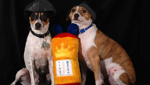 אלו ואלו דברי אלהים חיים?