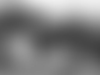 האם מותר לבנות סוכה מתחת לעץ דליל?