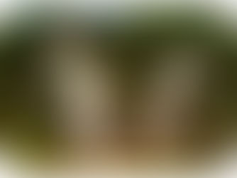 האם חובה לנהוג בחמלה כלפי פליטים?