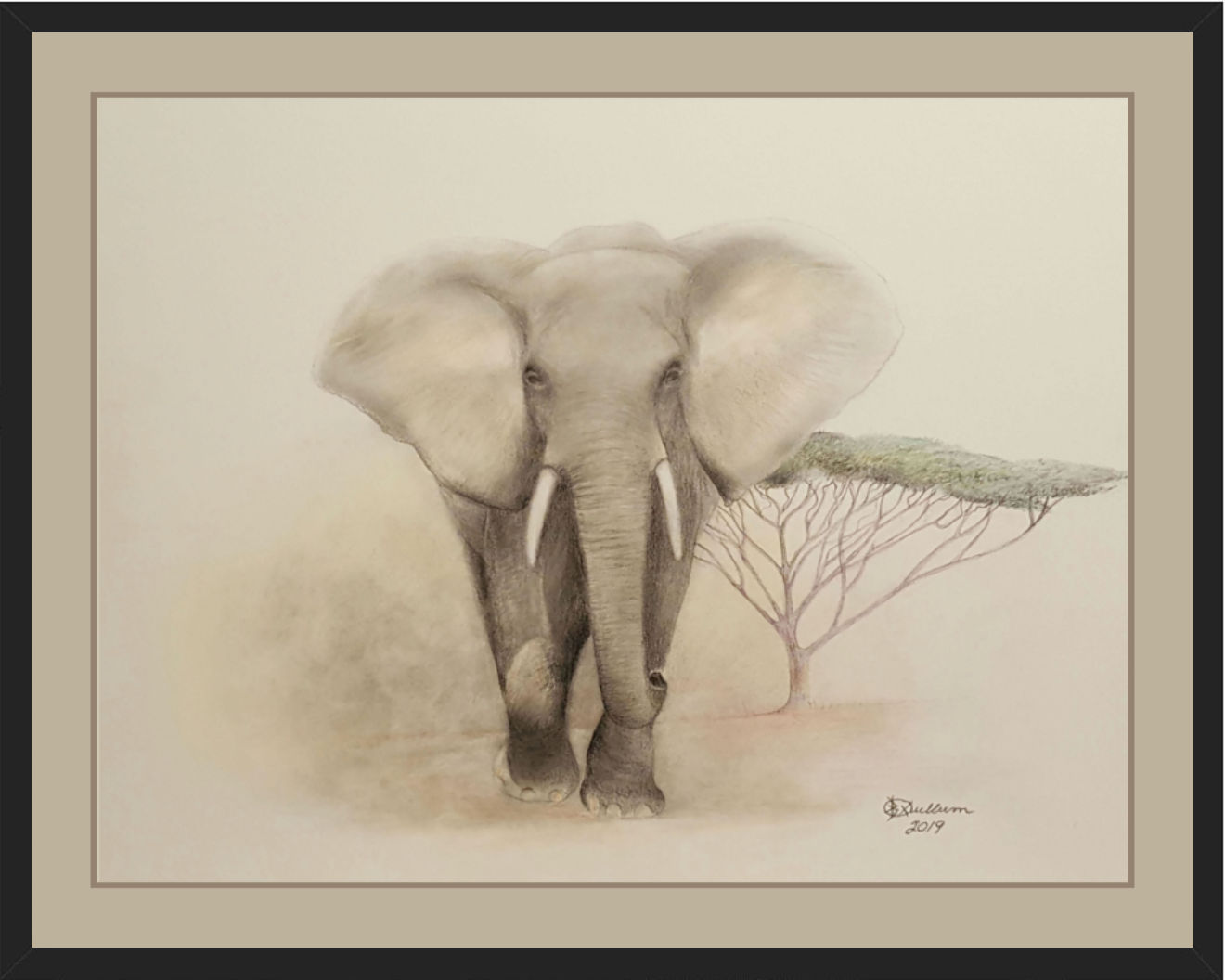 Raging Bull Elephant