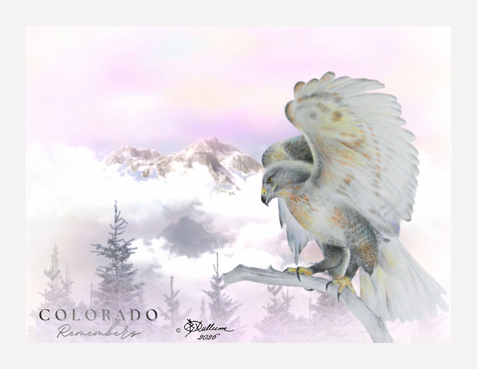 Thumbnail: Hawk Landing 11 x 8.5 print Framed